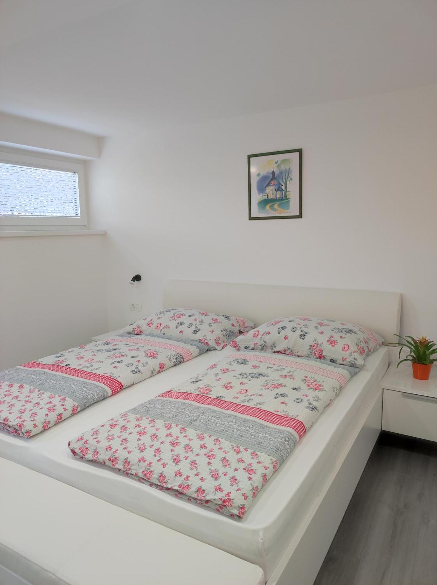 Apartments Francka Bohinj ภายนอก รูปภาพ